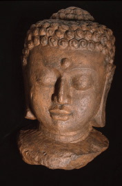 buddha